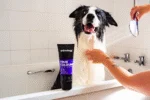 Hundeshampoo zur Farbauffrischung, 250 ml – Animology True Colours – Bild 5