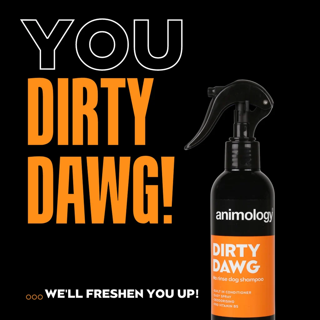Hundeshampoospray ohne Ausspülen, 250 ml – Animology Dirty Dawg – Bild 2