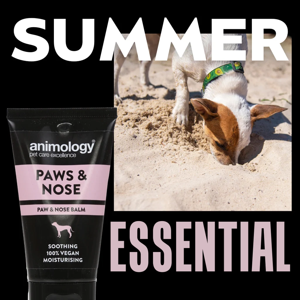 Pfotenbalsam für Hunde, auch für die Nase, 50 ml – Animology Paws & Nose Balm – Bild 2