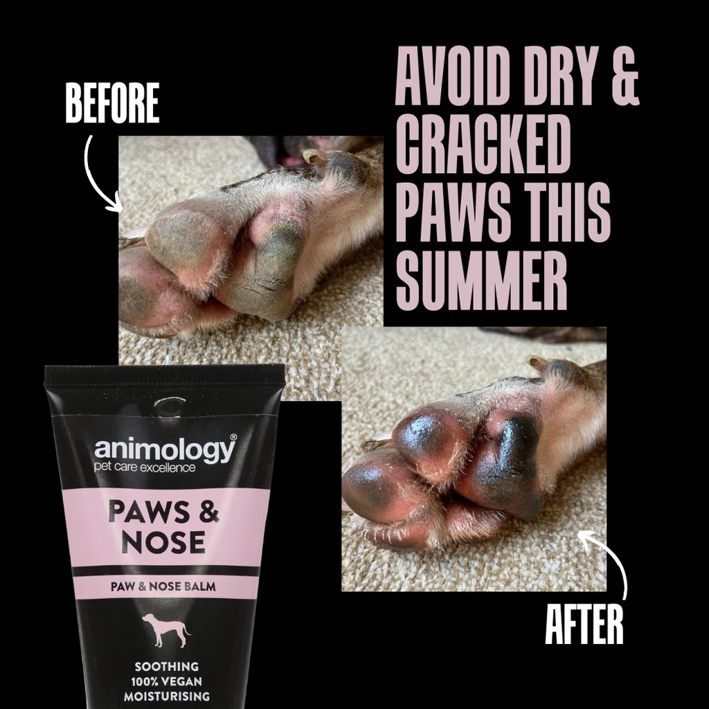 Pfotenbalsam für Hunde, auch für die Nase, 50 ml – Animology Paws & Nose Balm – Bild 3