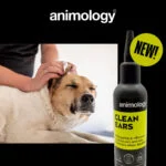 Ohrenreiniger für Hunde mit Dosierspitze, 100 ml – Animology Clean Ears – Bild 2