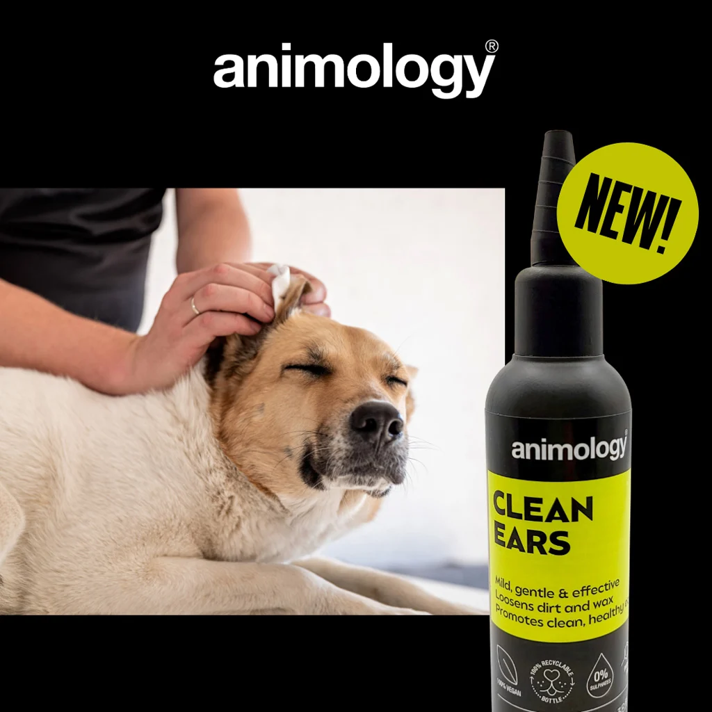 Ohrenreiniger für Hunde mit Dosierspitze, 100 ml – Animology Clean Ears – Bild 2