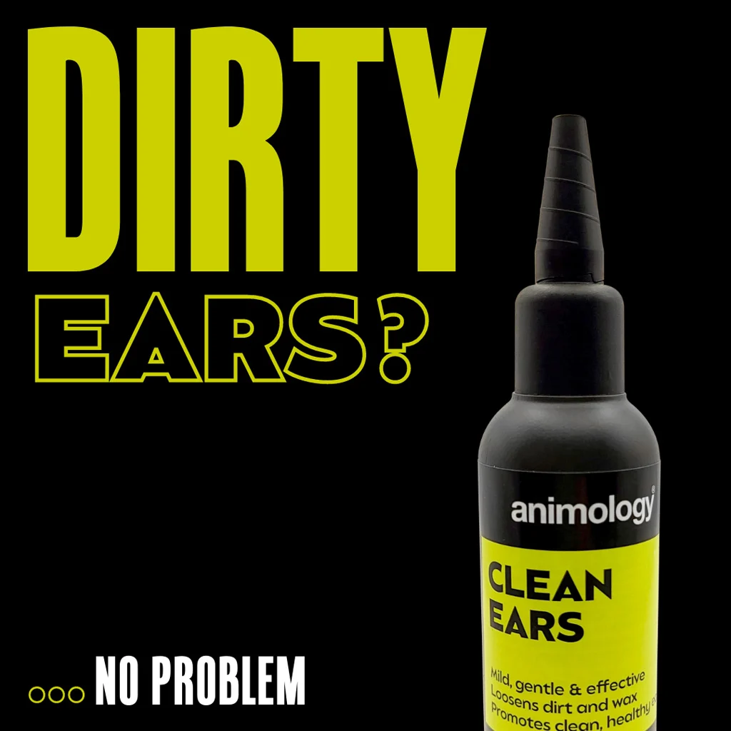 Ohrenreiniger für Hunde mit Dosierspitze, 100 ml – Animology Clean Ears – Bild 3