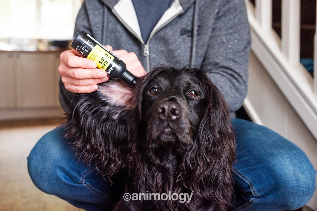 Ohrenreiniger für Hunde mit Dosierspitze, 100 ml – Animology Clean Ears – Bild 4