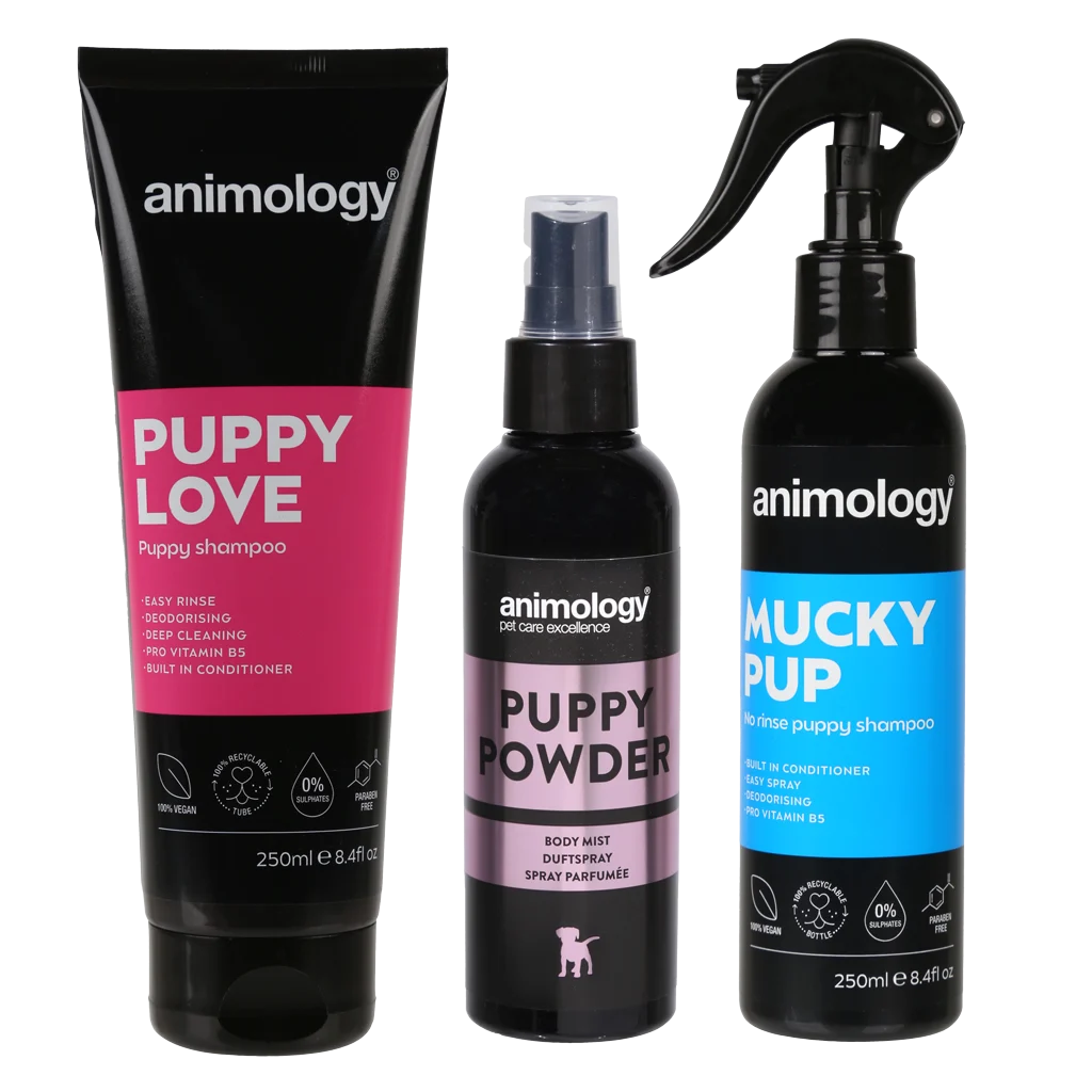 Welpenpflegeset mit Shampoo, Body Mist und Shampoospray, 3 Produkte – Animology My First Puppy Pack – Bild 3