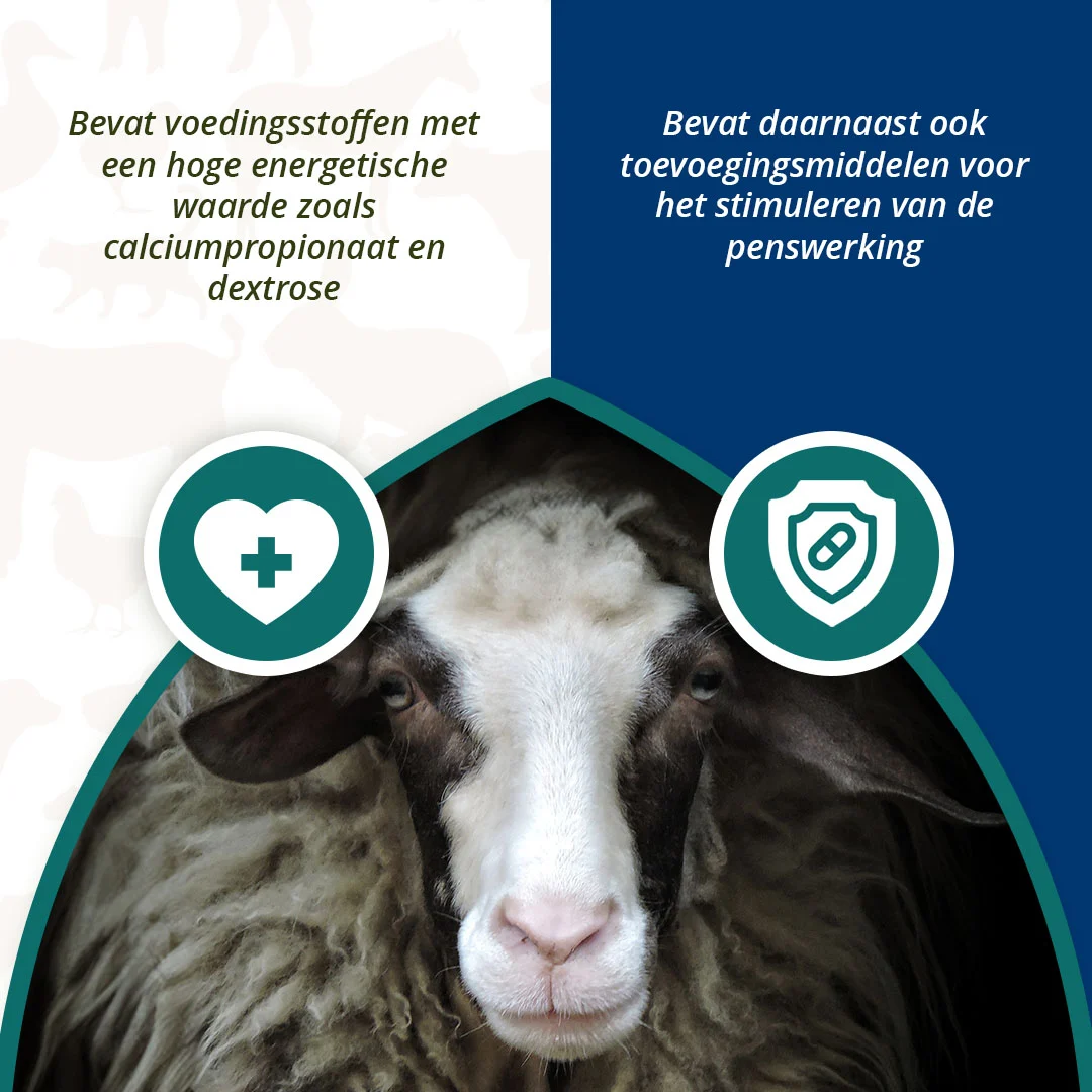 Energiebolus für Schafe und Ziegen, 24 Stück – Excellent Ener Bolus Schaap & Geit – Bild 4