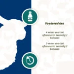 Energiebolus für Schafe und Ziegen, 24 Stück – Excellent Ener Bolus Schaap & Geit – Bild 5