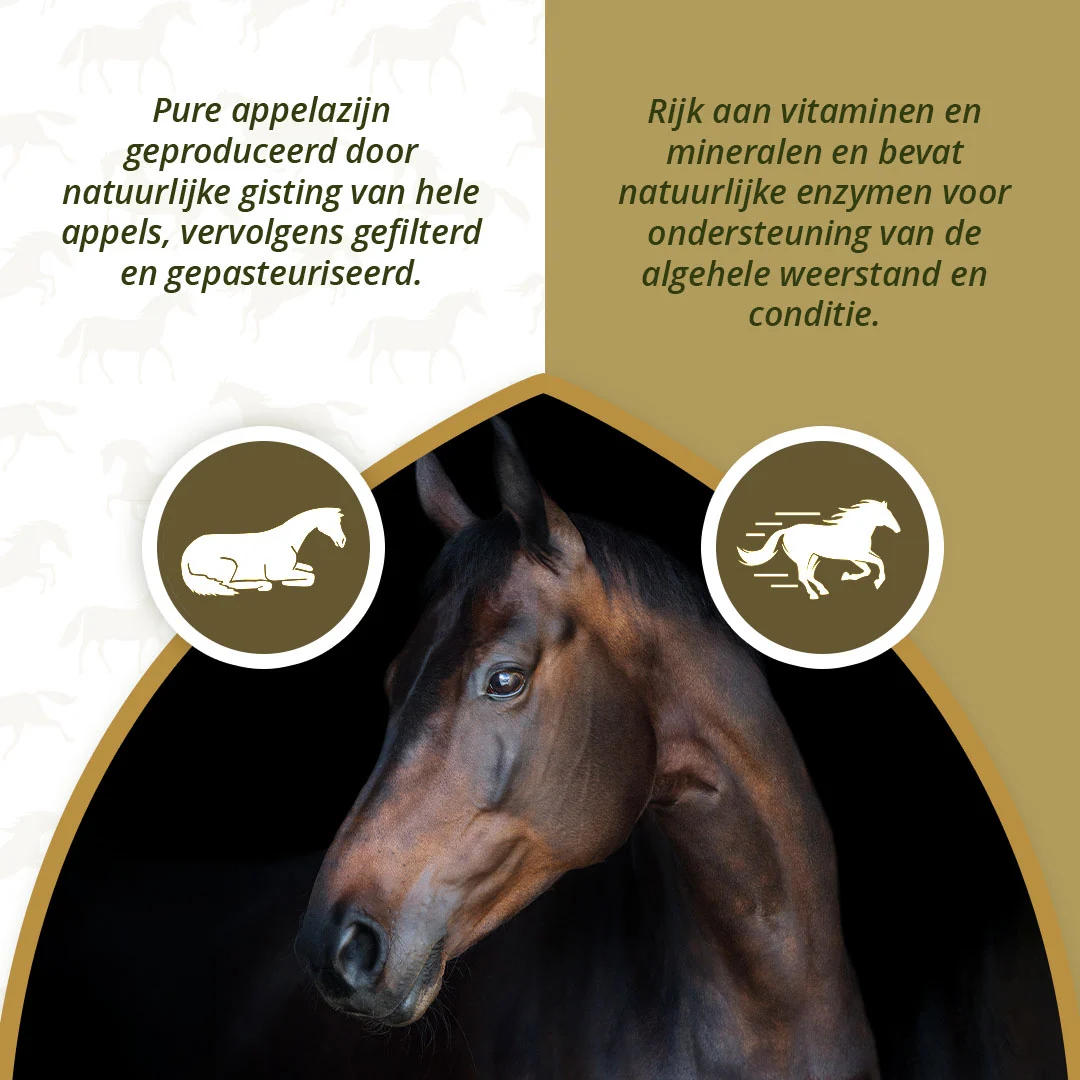 Apfelessig für Pferde, 1 l – Excellent Horse Apple Vinegar – Bild 3