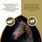 Pferdeleckerli mit Knoblauch, zuckerarm, 1,2 kg – Excellent Horse Sweet Blocks – Bild 4