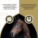 Präbiotika für Pferde mit Omega 3 und Hefe, 2,5 kg – Excellent Horse Prebiotics – Bild 3