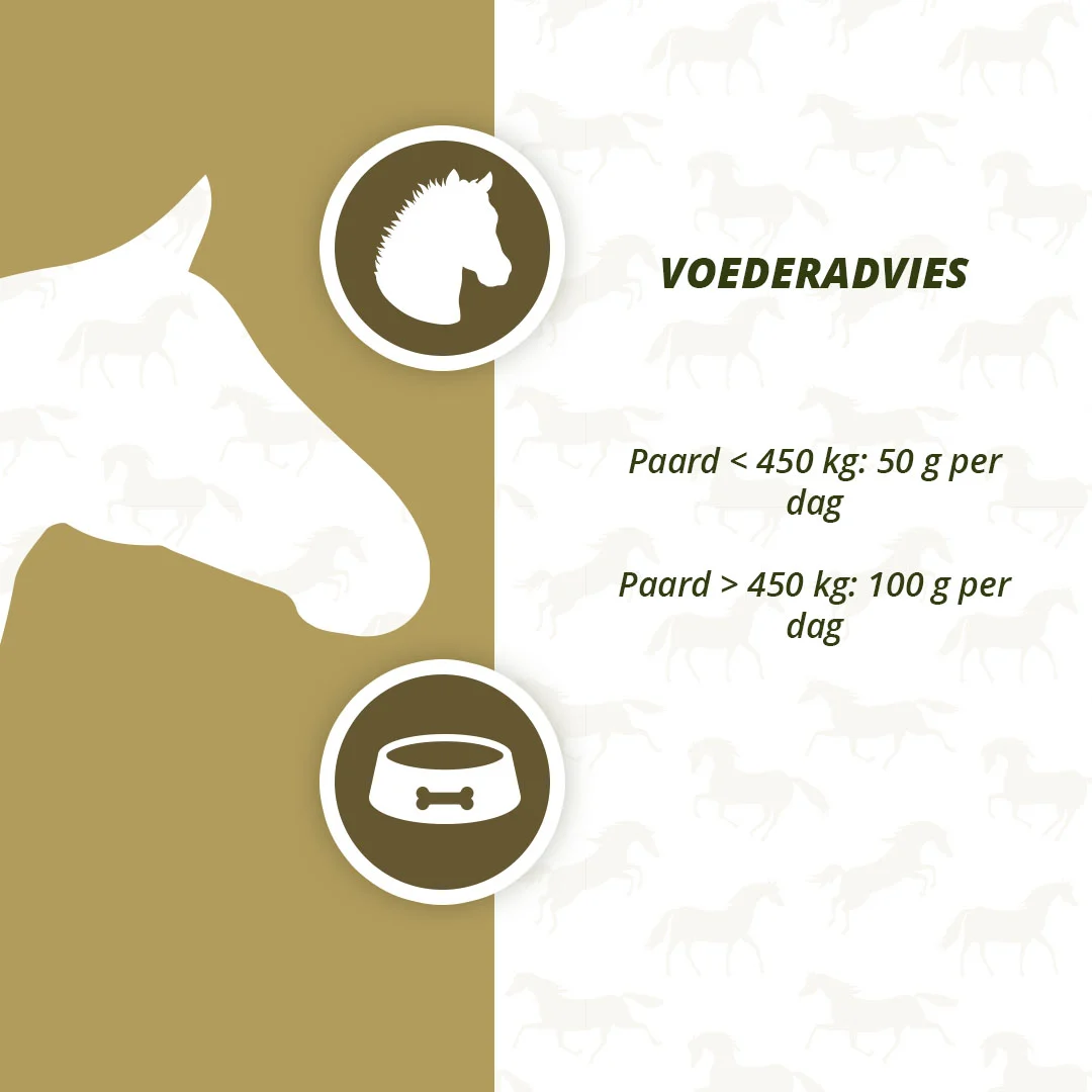 Präbiotika für Pferde mit Omega 3 und Hefe, 2,5 kg – Excellent Horse Prebiotics – Bild 4