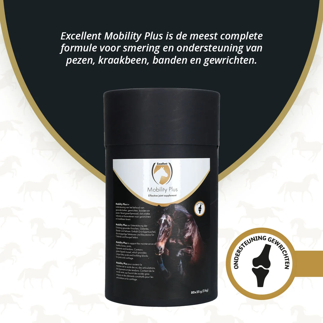 Gelenksupplement für Pferde mit MSM und Glucosamin, 2 kg – Excellent Horse Mobility Plus – Bild 3