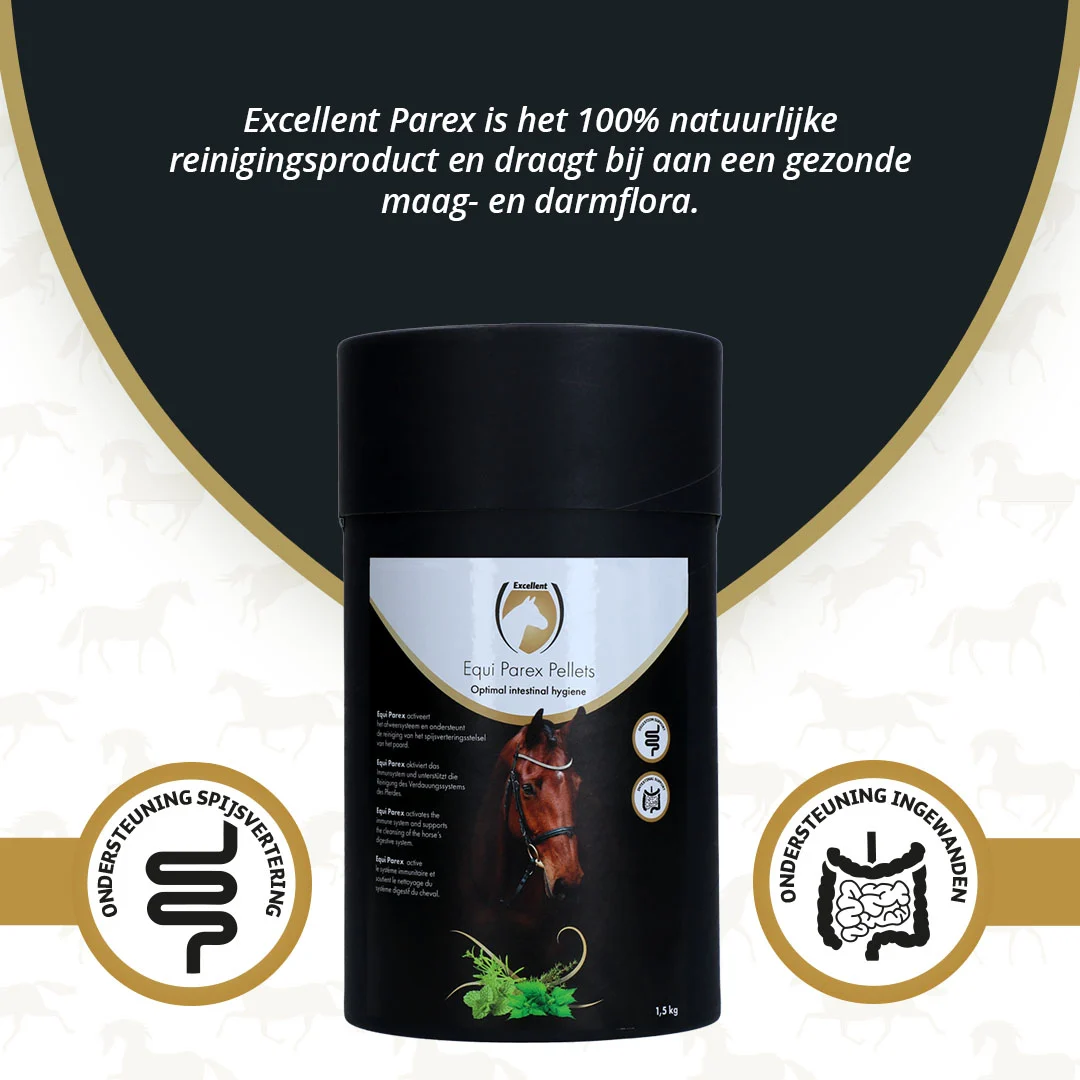Kräuterergänzungsfutter für Pferde mit Knoblauch und Minze, 1,5 kg – Excellent Horse Parex – Bild 2