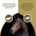 Kräuterergänzungsfutter für Pferde mit Knoblauch und Minze, 1,5 kg – Excellent Horse Parex – Bild 3