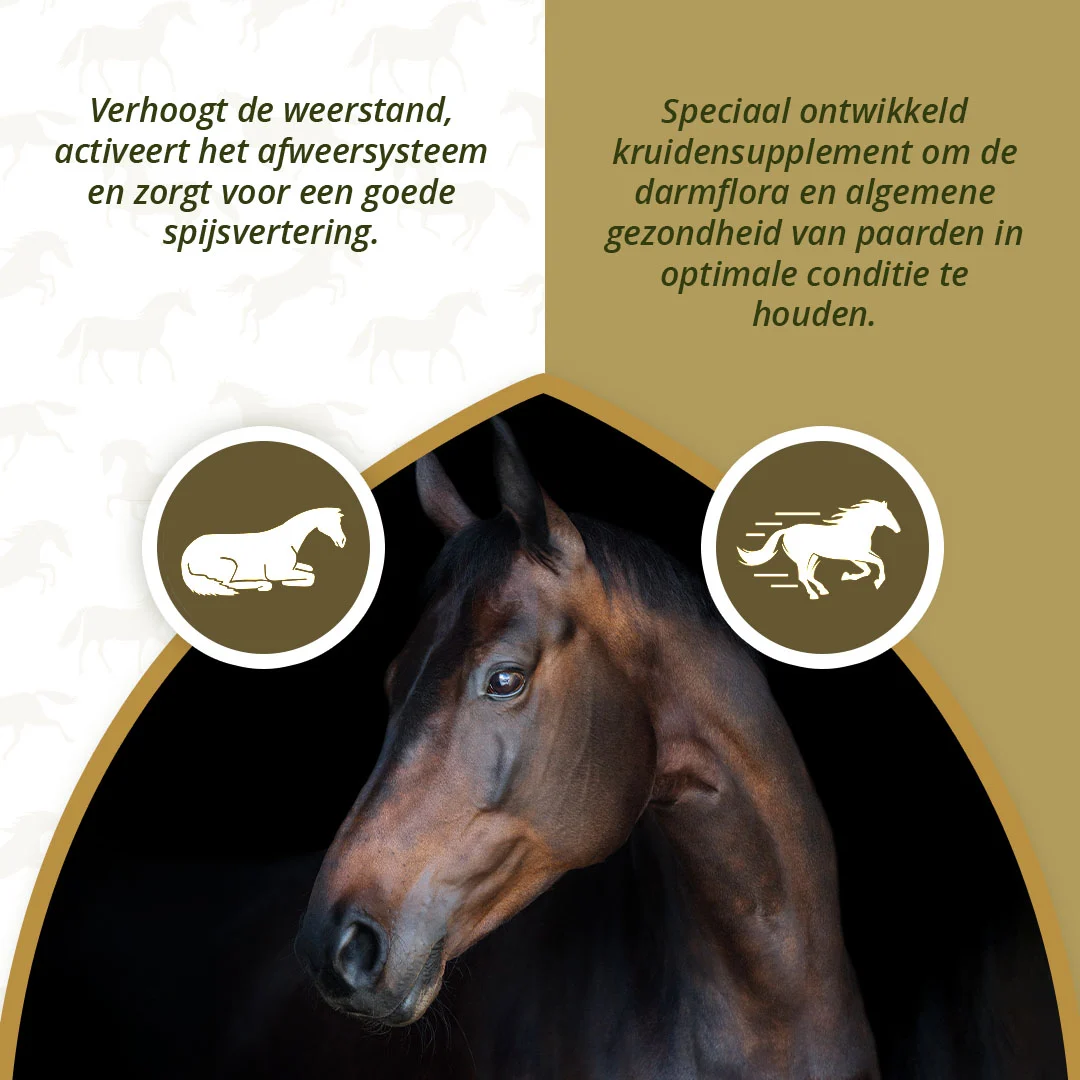 Kräuterergänzungsfutter für Pferde mit Knoblauch und Minze, 1,5 kg – Excellent Horse Parex – Bild 3