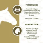 Kräuterergänzungsfutter für Pferde mit Knoblauch und Minze, 1,5 kg – Excellent Horse Parex – Bild 4