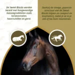 Pferdeleckerlis Eukalyptus, zuckerarm, 1 kg – Excellent Horse Sweet Blocks – Bild 3