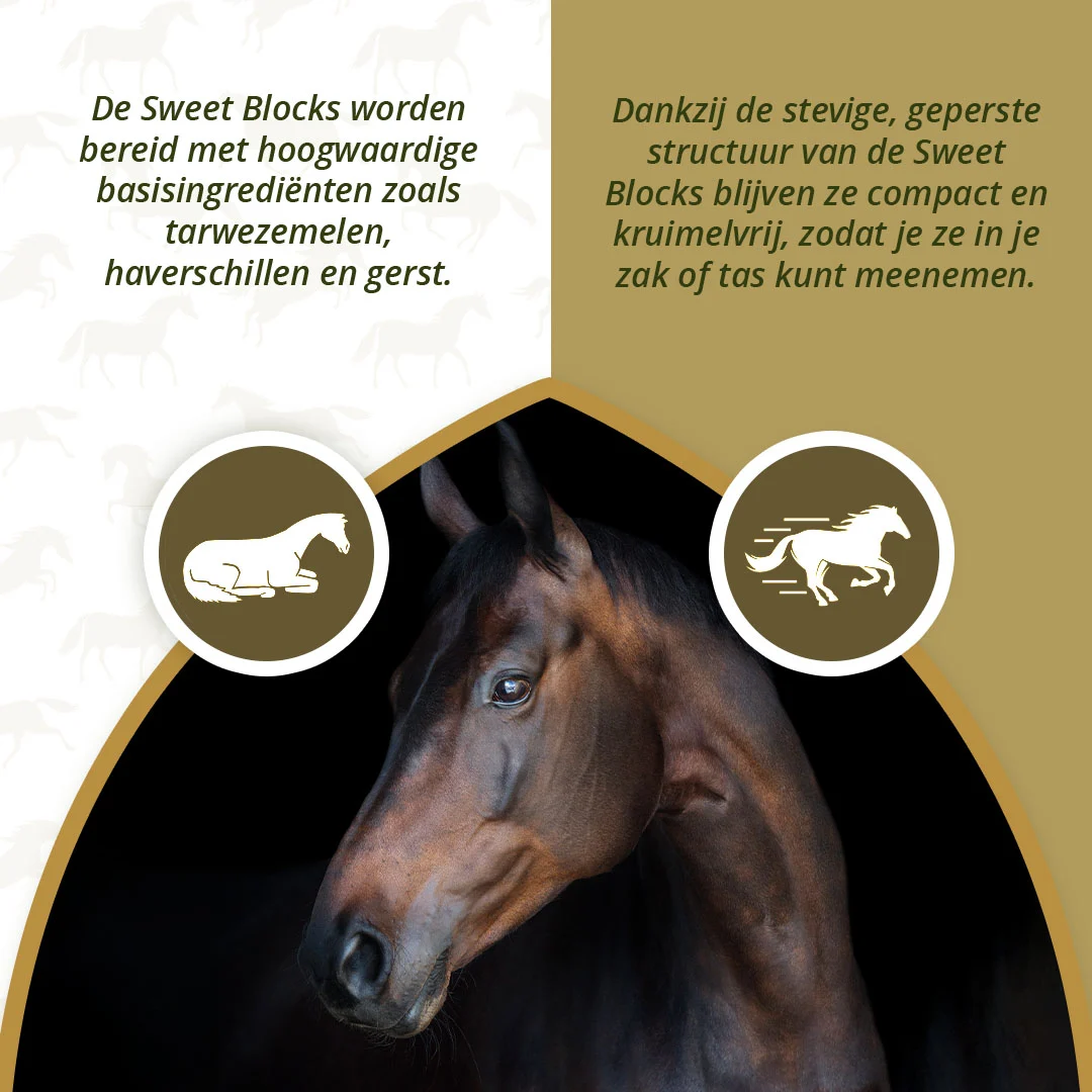 Pferdeleckerchen mit Kräutern, 1 kg – Excellent Horse Sweet Blocks Herbs – Bild 3