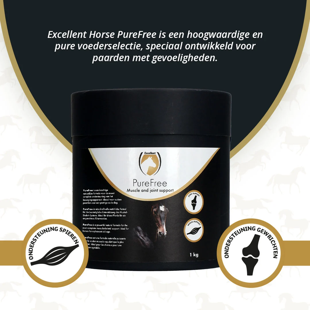 Gelenksupplement für Pferde mit MSM und Kurkuma, 1 kg – Excellent Horse PureFree – Bild 2