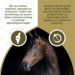Muskelergänzungsfutter für Pferde mit Algen, 1 kg – Excellent Horse Turbo – Bild 3