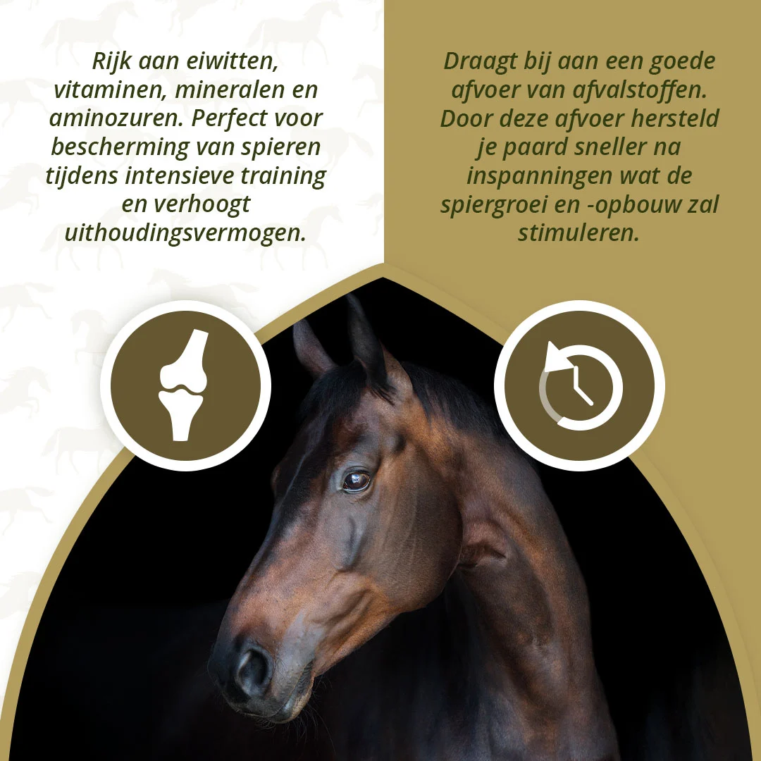 Muskelergänzungsfutter für Pferde mit Algen, 1 kg – Excellent Horse Turbo – Bild 3