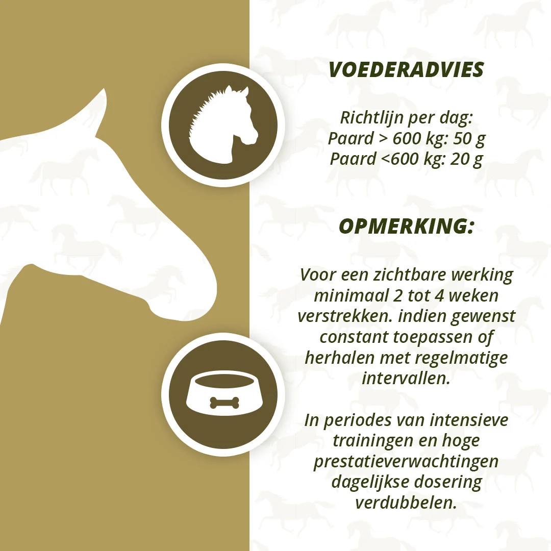 Muskelergänzungsfutter für Pferde mit Algen, 1 kg – Excellent Horse Turbo – Bild 4