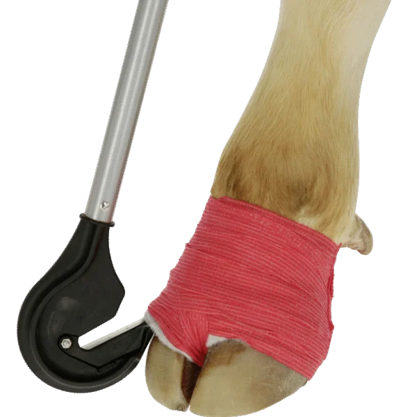 Klauenverbandmesser mit abgerundeter Klinge und 1 m langem Griff