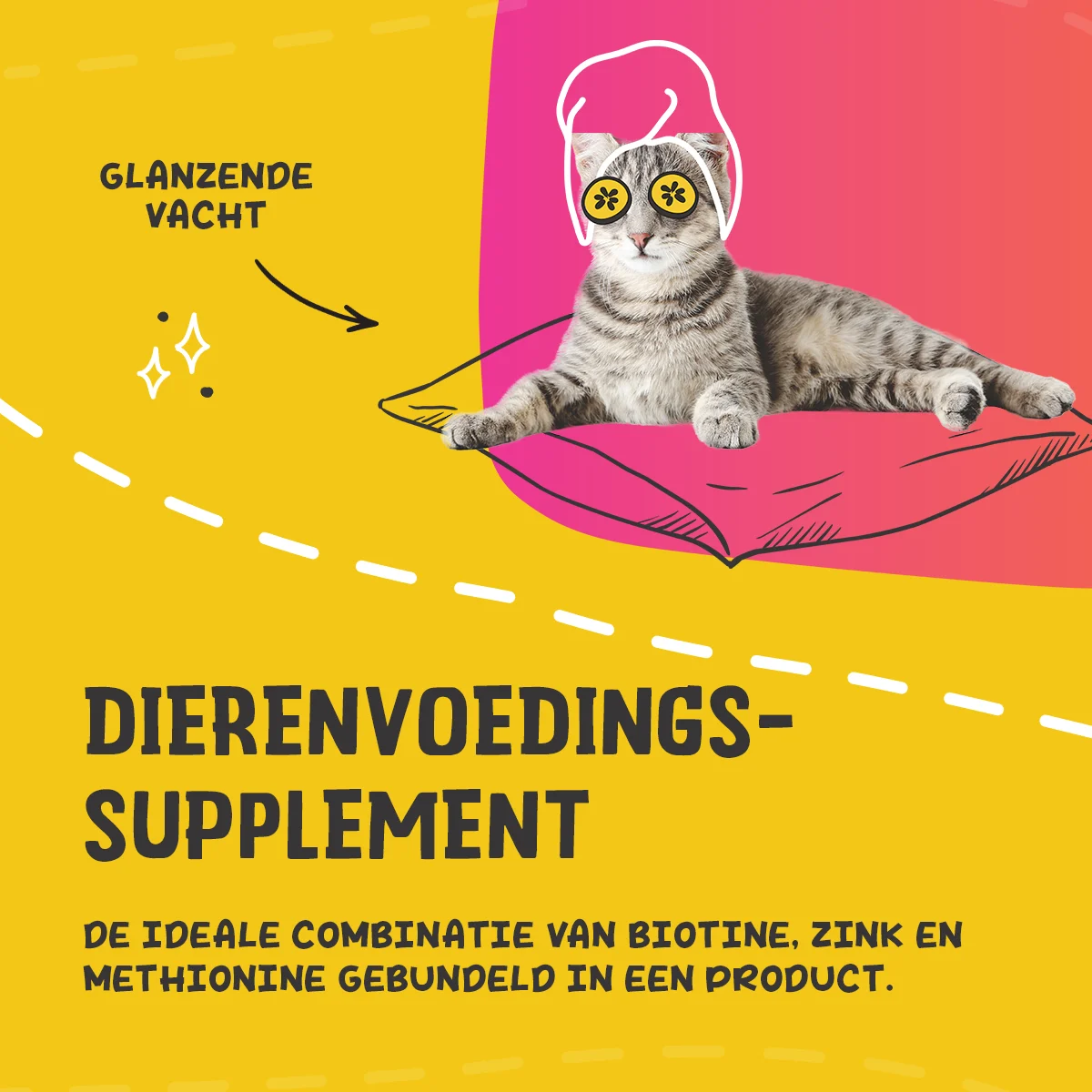 Fellergänzung für Hunde und Katzen mit Biotin, 250 g – Excellent Pets Biozin – Bild 3