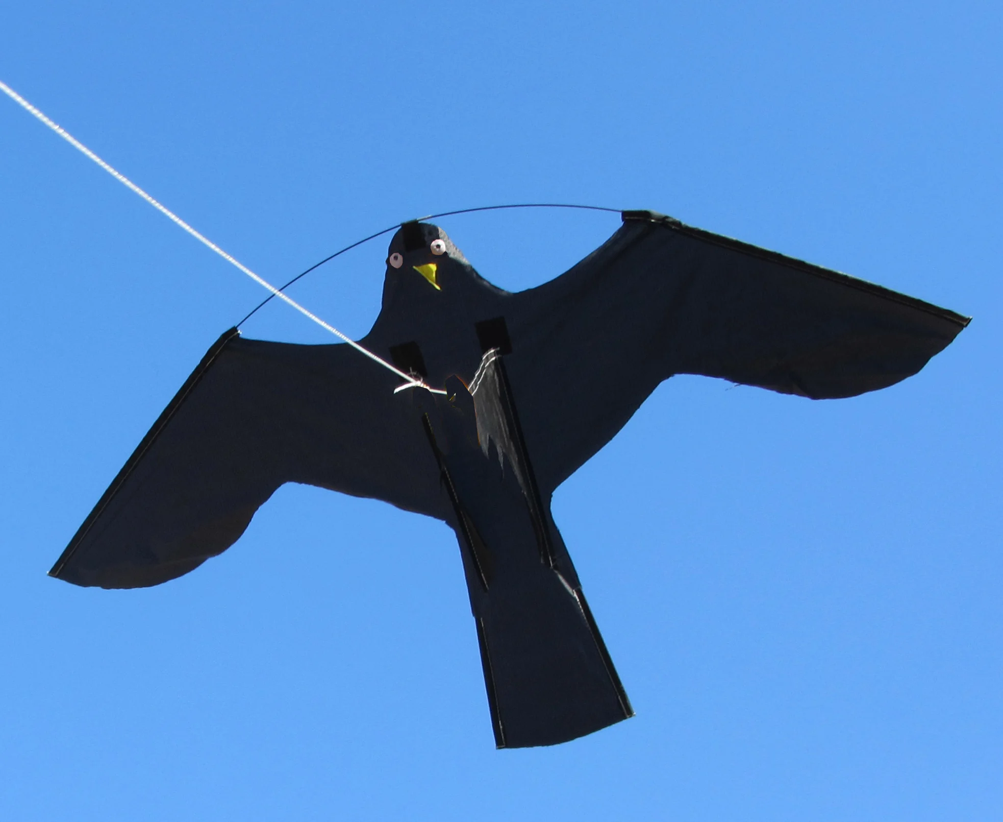 BIRD0072.jpg Drachen Set zur Vogelabwehr mit 7 Meter Teleskopmast – Birdshield – Bild 1