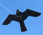Vogelscheuche als Drachen, Einzelteil – Birdshield