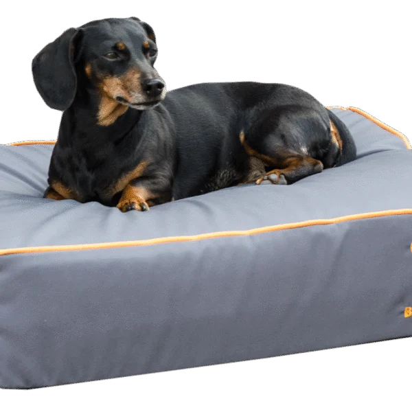 Hundebett mit imprägnierter Oberseite und rutschhemmender Unterseite, Grau S 65 x 50 cm – Bodyguard Royal Bed