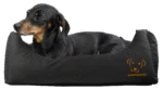 Hundebett mit imprägnierter Oberseite und rutschhemmender Unterseite, Schwarz S 65 x 55 cm – Bodyguard Sofa Bed