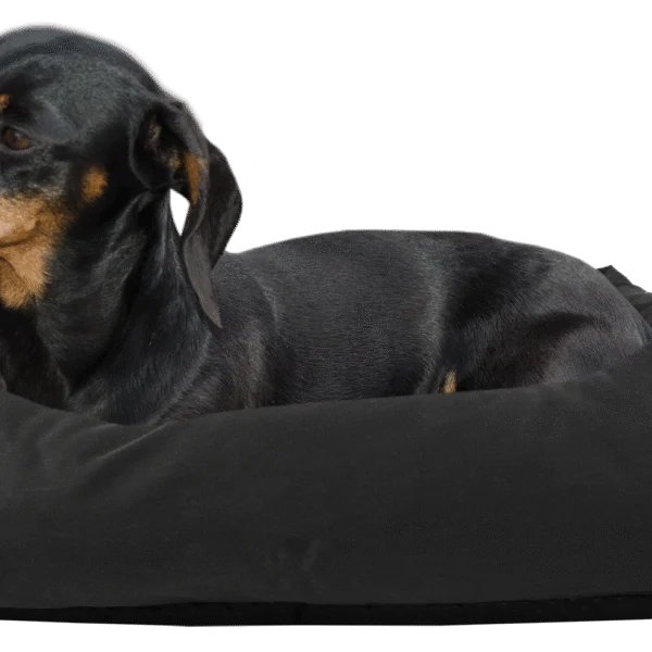 Hundebett mit imprägnierter Oberseite und rutschhemmender Unterseite, Schwarz S 65 x 55 cm – Bodyguard Sofa Bed