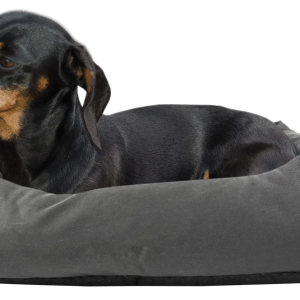 Hundebett mit imprägnierter Oberseite und rutschhemmender Unterseite, Grau S 65 x 55 cm – Bodyguard Sofa Bed