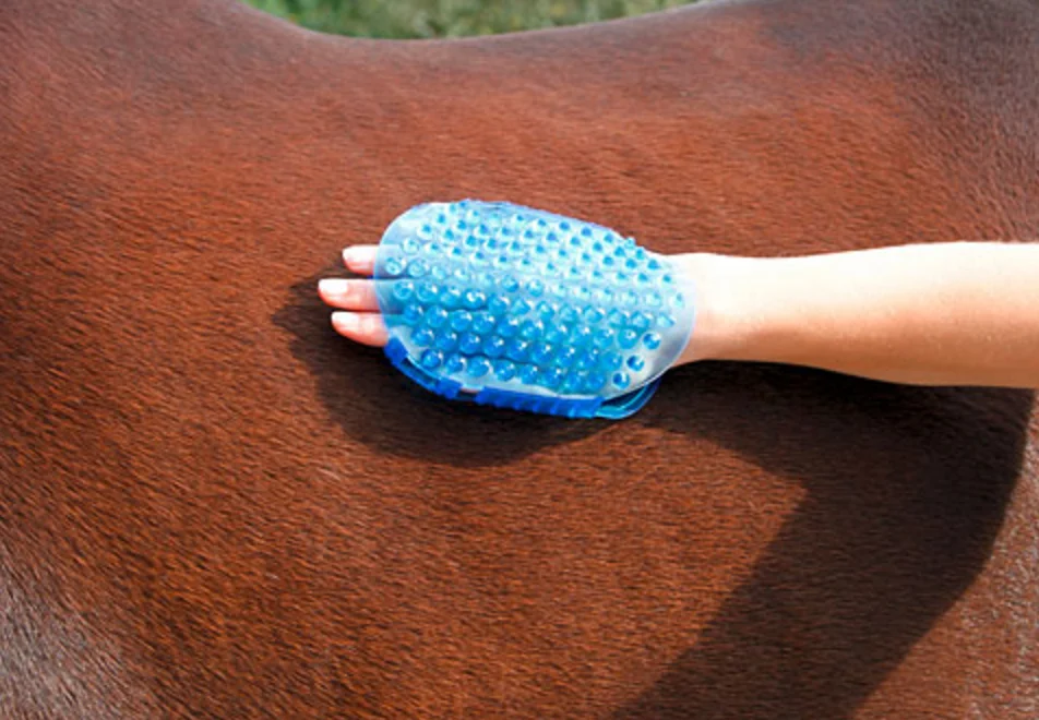Massagebürste für Pferde mit 7 Edelstahlrollen, Blau, 16 x 10 cm – Bild 5