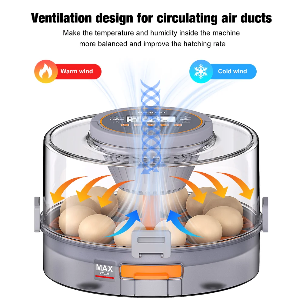 Digitale Brutmaschine für 12 Eier mit automatischer Wendung – Hofman Animal Care – Bild 5