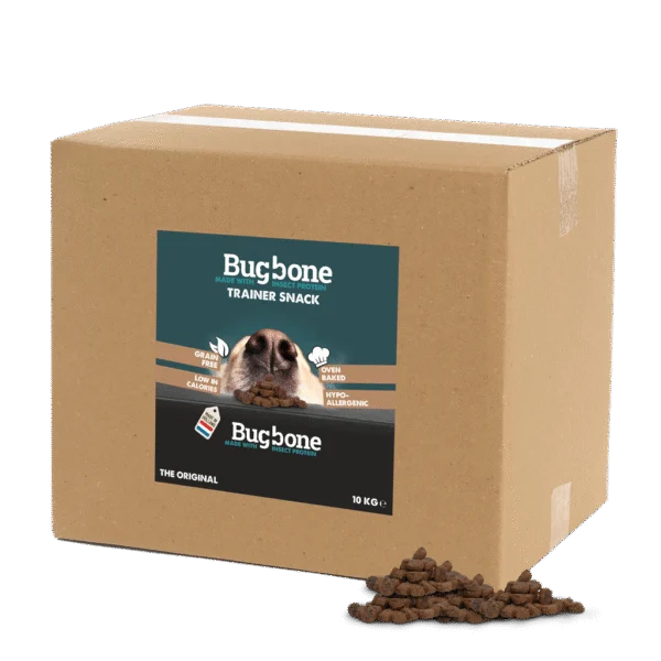 Trainingssnack für Hunde mit Insektenprotein, Großpackung 10 kg – Bugbone Trainer Snack