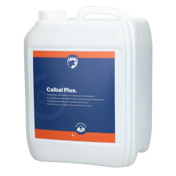 Calciumtrunk für Milchkühe rund um das Abkalben – Excellent Calbal Plus