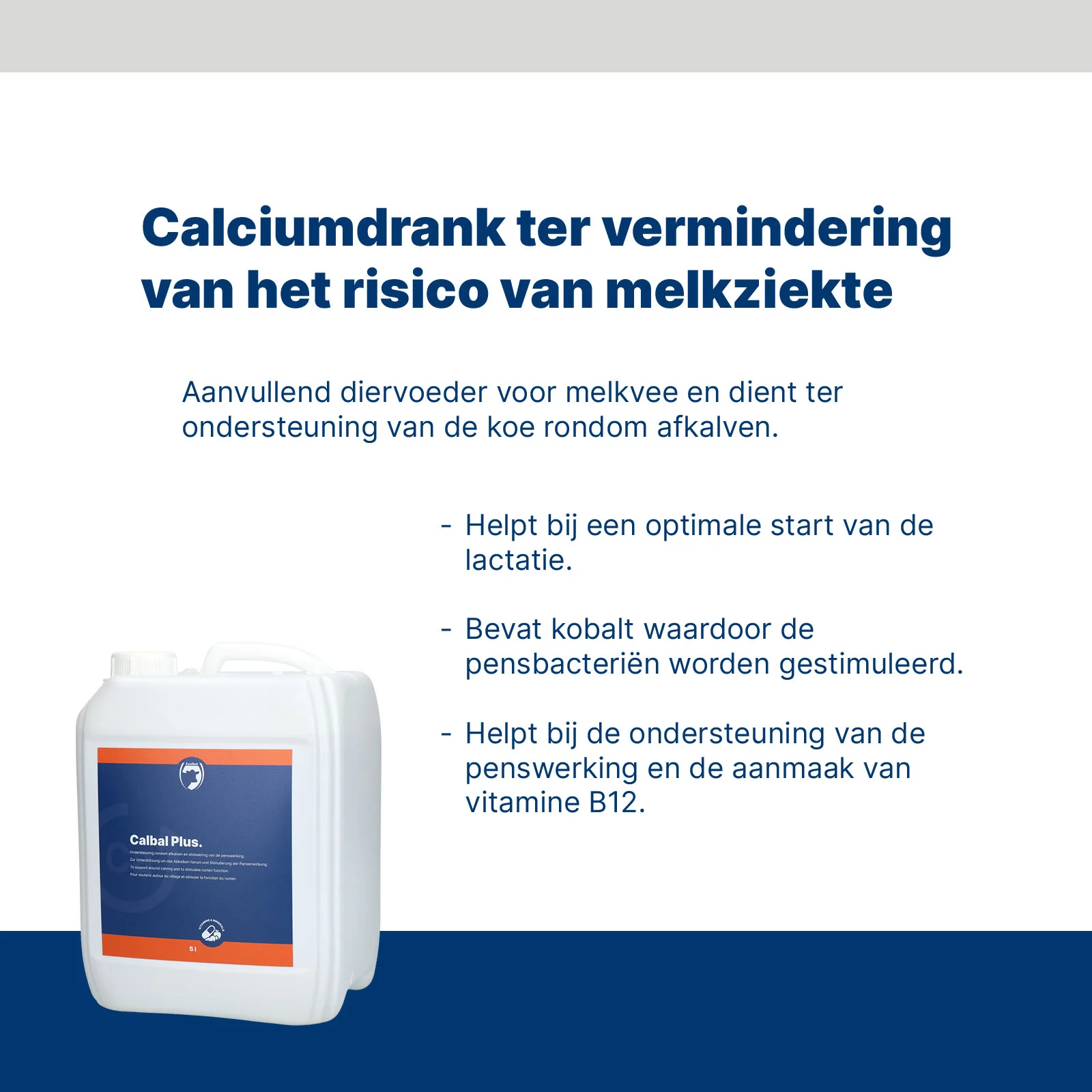 Calciumtrunk für Milchkühe rund um das Abkalben – Excellent Calbal Plus – Bild 3