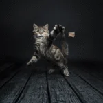 Interaktives Katzenspielzeug – Cat Dancer Deluxe – Bild 2