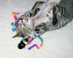 Interaktives Katzenspielzeug – Cat Dancer Cat Charmer – Bild 2