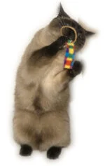 Katzenspielzeug Set, 2 Stück – Cat Dancer Ring Tail Chasers – Bild 2