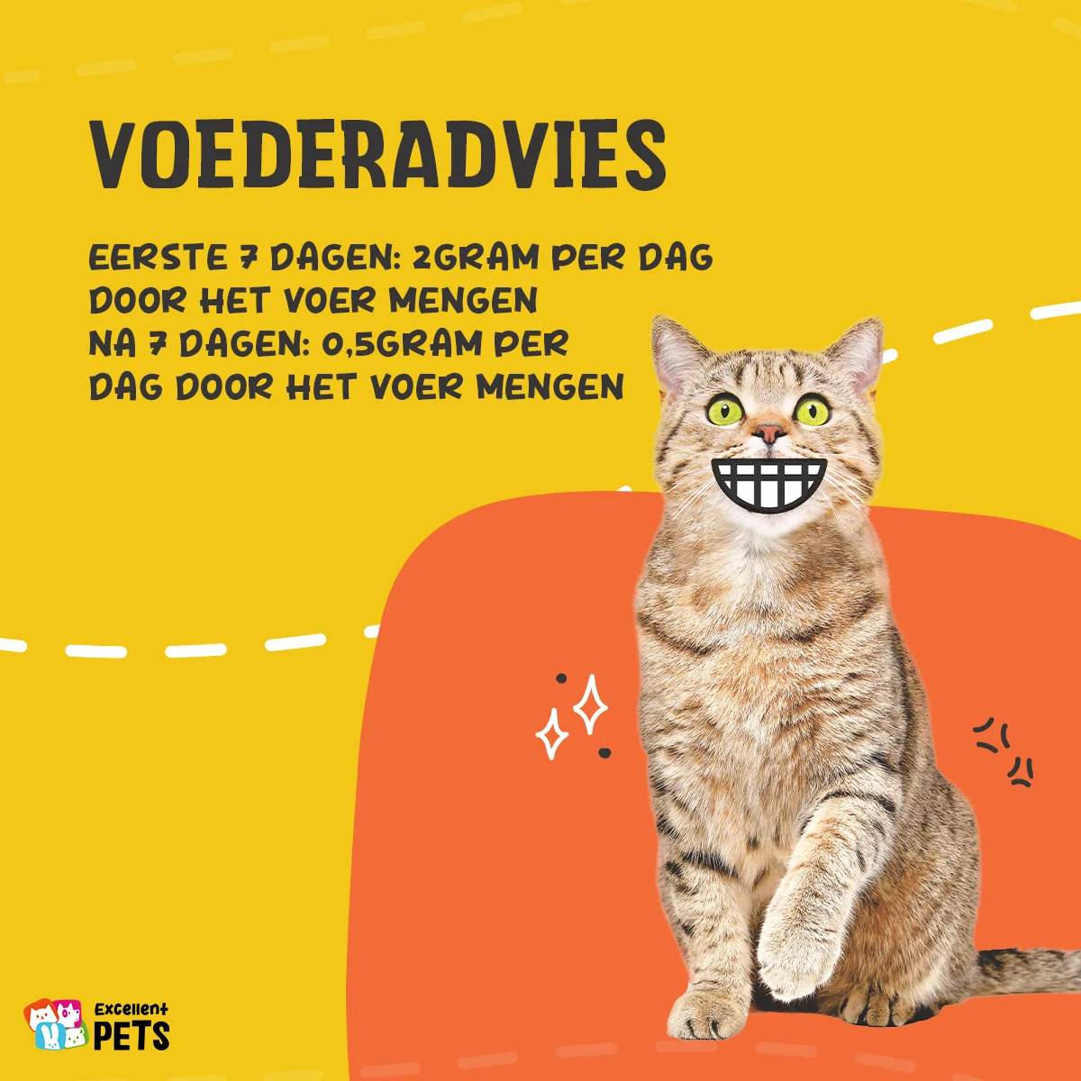 Lysin Pulver für Katzen mit Vitamin B6, 50 g – Excellent Pets L-Lysine – Bild 3