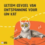 Katzenminzespray für Spielzeug und Transportboxen, 150 ml – Excellent Pets Catnip Spray – Bild 4