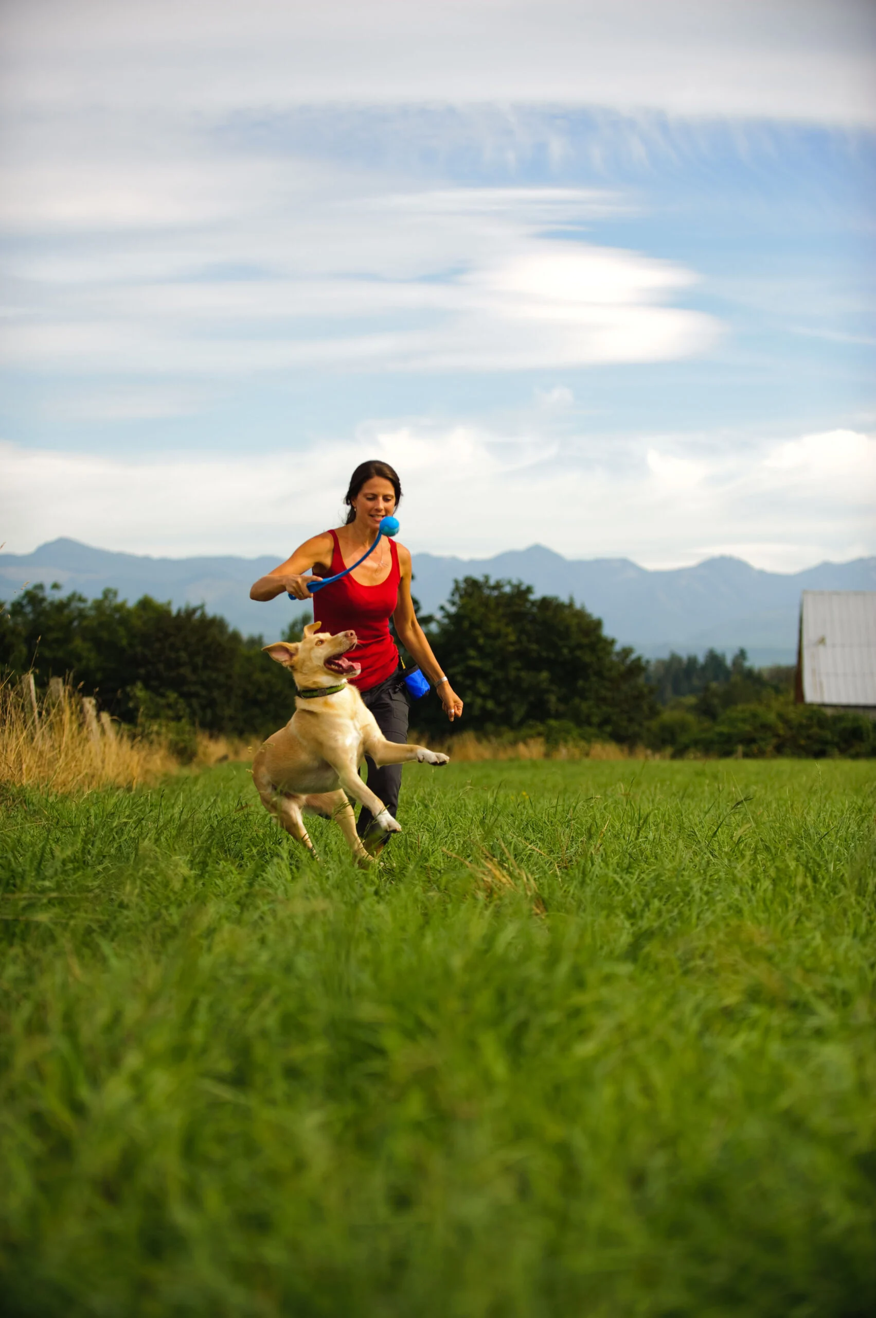 Hundeball mit Pfeifton S, ø 5 cm, 2 Stück – Chuckit! The Whistler – Bild 3