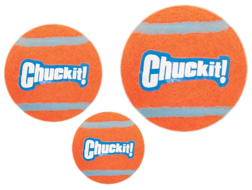 Hundetennisball S, ø 5 cm, 2 Stück, schwimmfähig – Chuckit! Tennis Ball – Bild 4