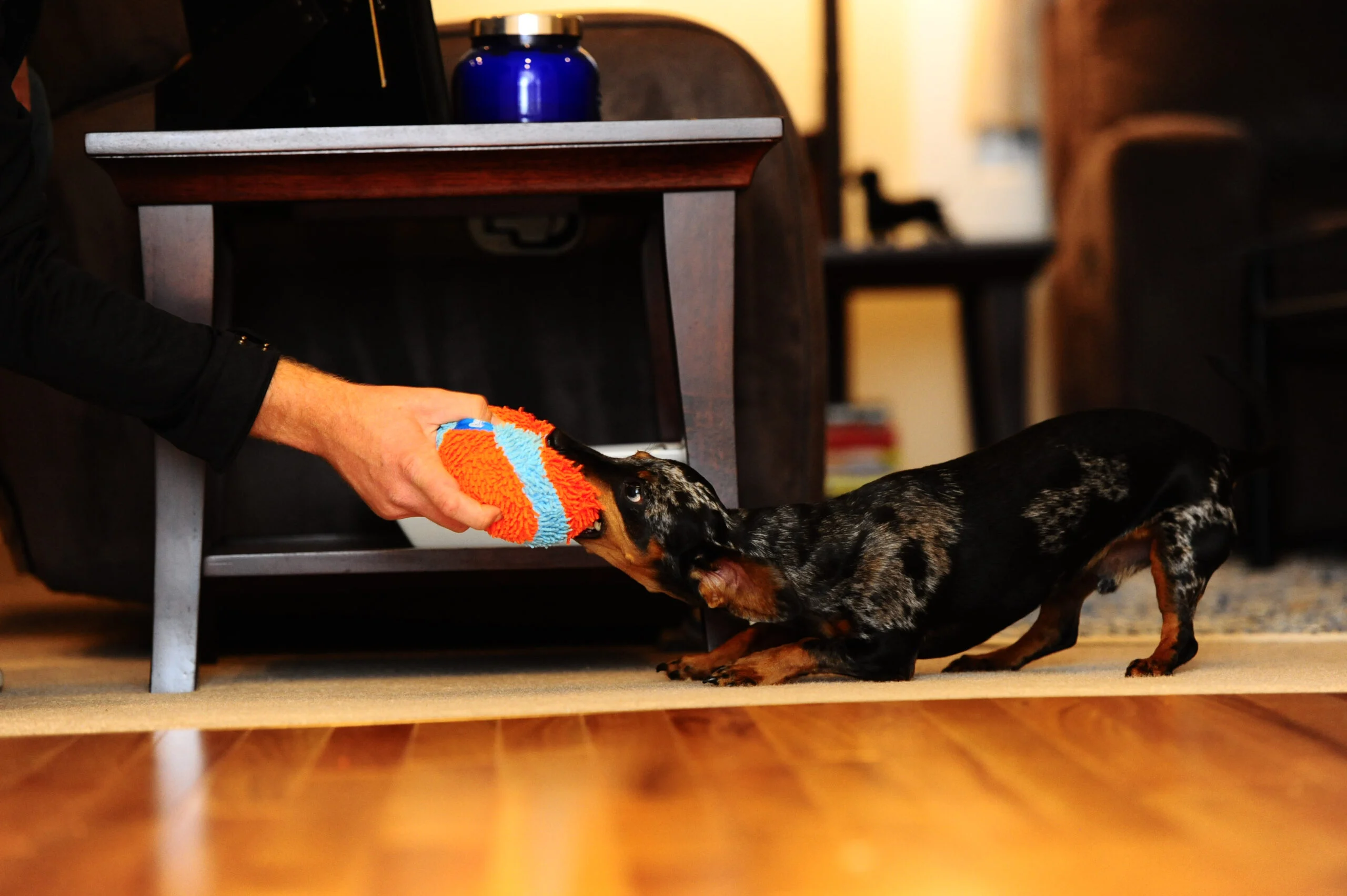 Hundeball mit Chenille Außenmaterial für drinnen, Ø 12 cm – Chuckit! Indoor Ball – Bild 5