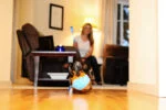 Hundespielzeug für drinnen mit Schlaufe, 11,5 x 13 x 20 cm – Chuckit! Indoor Shaker – Bild 5