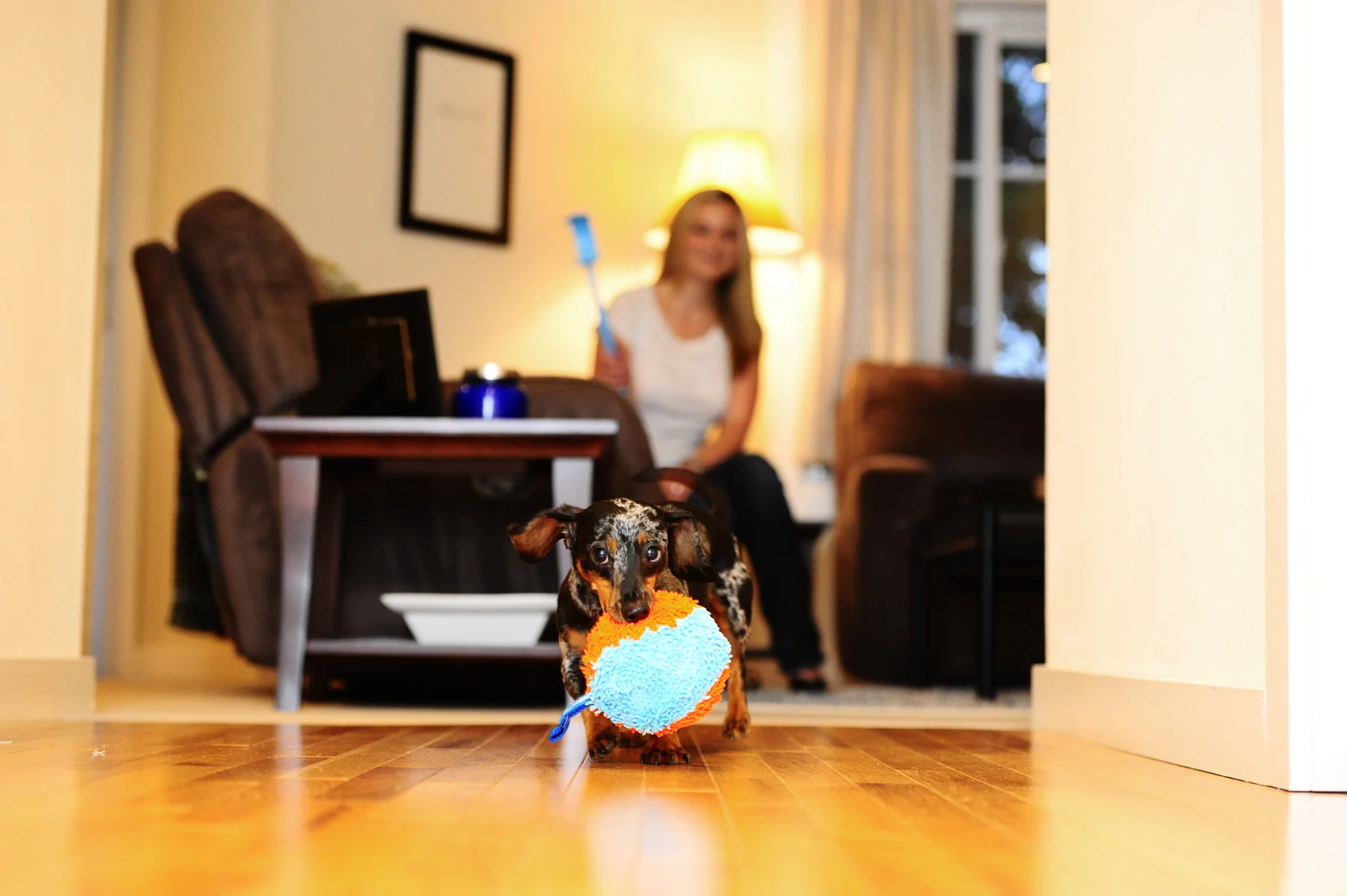 Hundespielzeug für drinnen mit Schlaufe, 11,5 x 13 x 20 cm – Chuckit! Indoor Shaker – Bild 5
