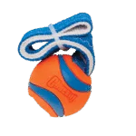 Zerrspielzeug für Hunde mit Tennisball und Band, ø 5 cm – Chuckit! Ultra Tug S – Bild 2